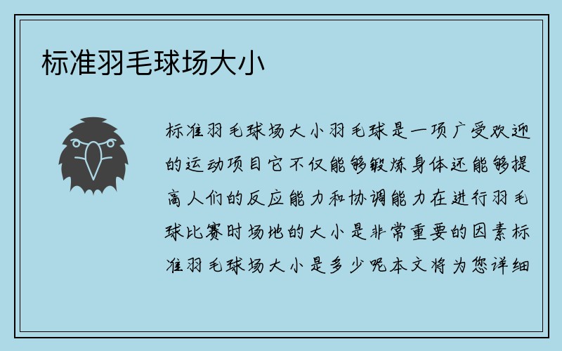 标准羽毛球场大小